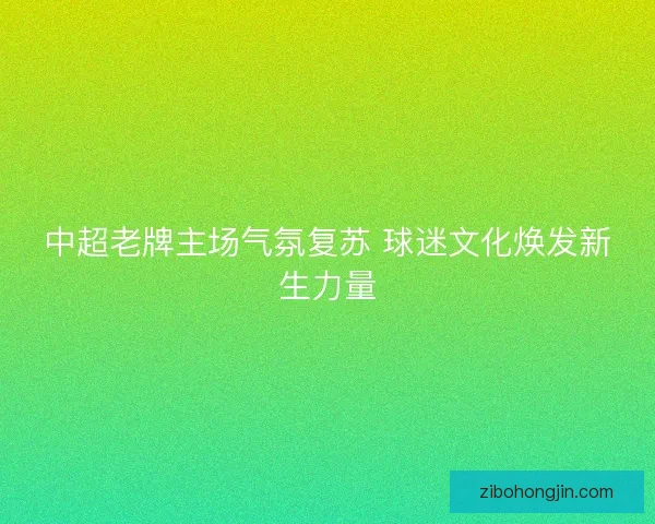 中超老牌主场气氛复苏 球迷文化焕发新生力量